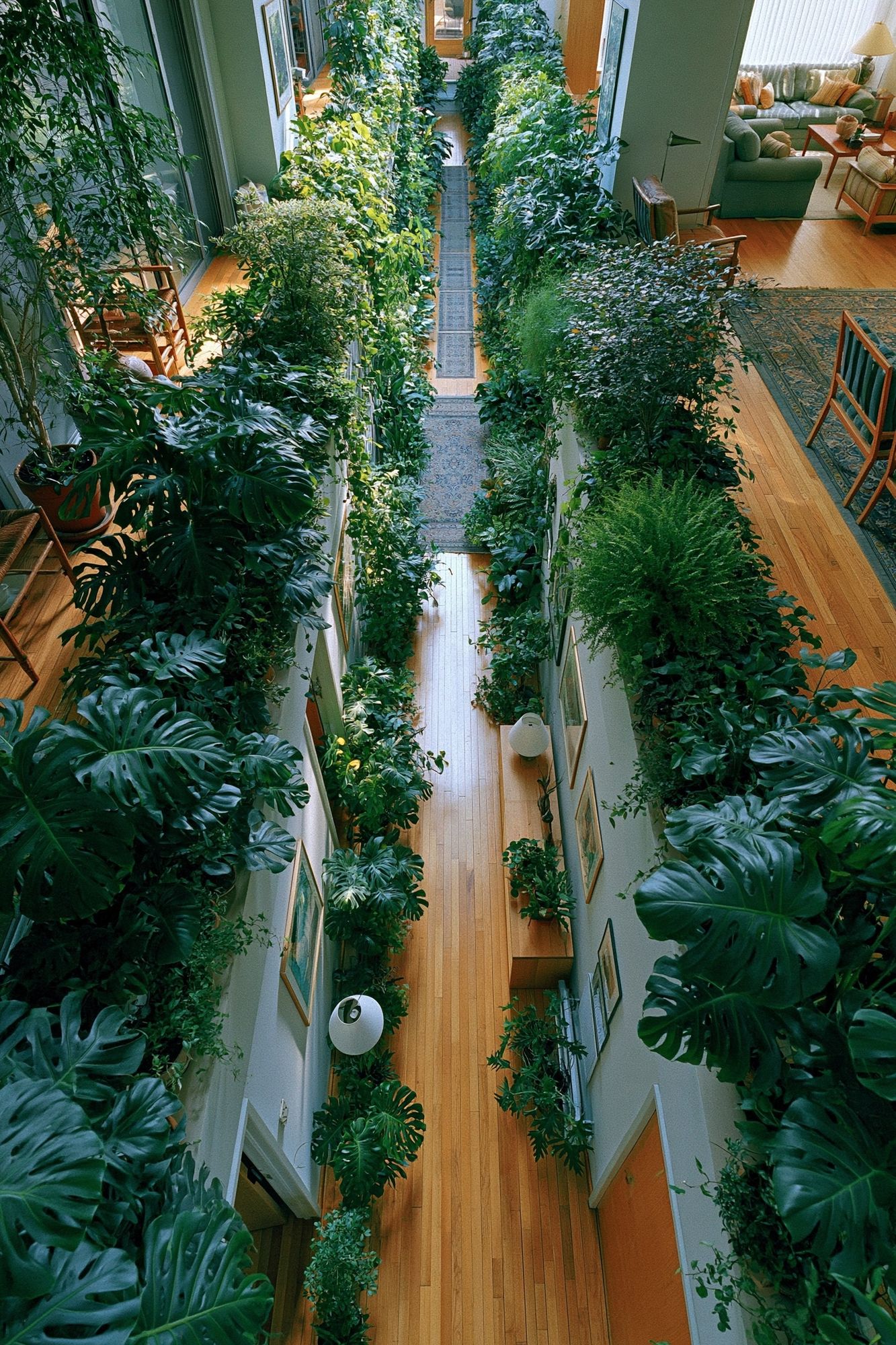 Indoor Jungle Hallway Photography Poster. poster — photography art