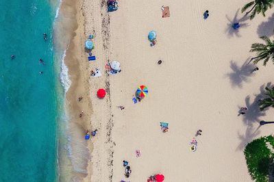 aerial shot tourists sunbathing sand. poster