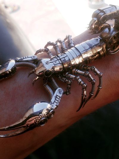 Mechanical Scorpion Photography Poster. poster