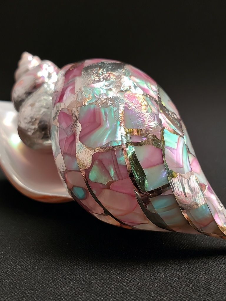 Iridescent Shell Still Life Poster. poster — photography art