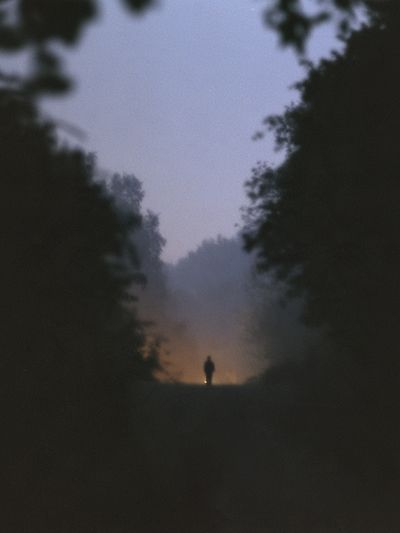 Misty Forest Dawn Silhouette Poster. poster
