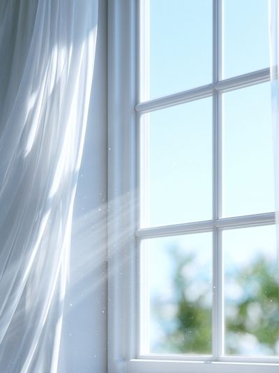 Sunlit Sheer Curtains Photography Print. poster