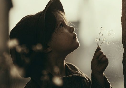 Child with Dandelion Photography Poster. poster detail