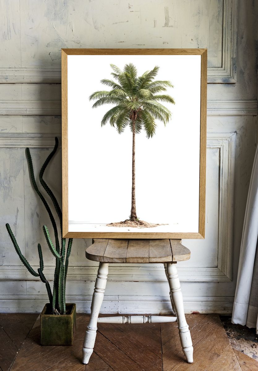Solitary Palm Tree Photography Poster. — room view 1