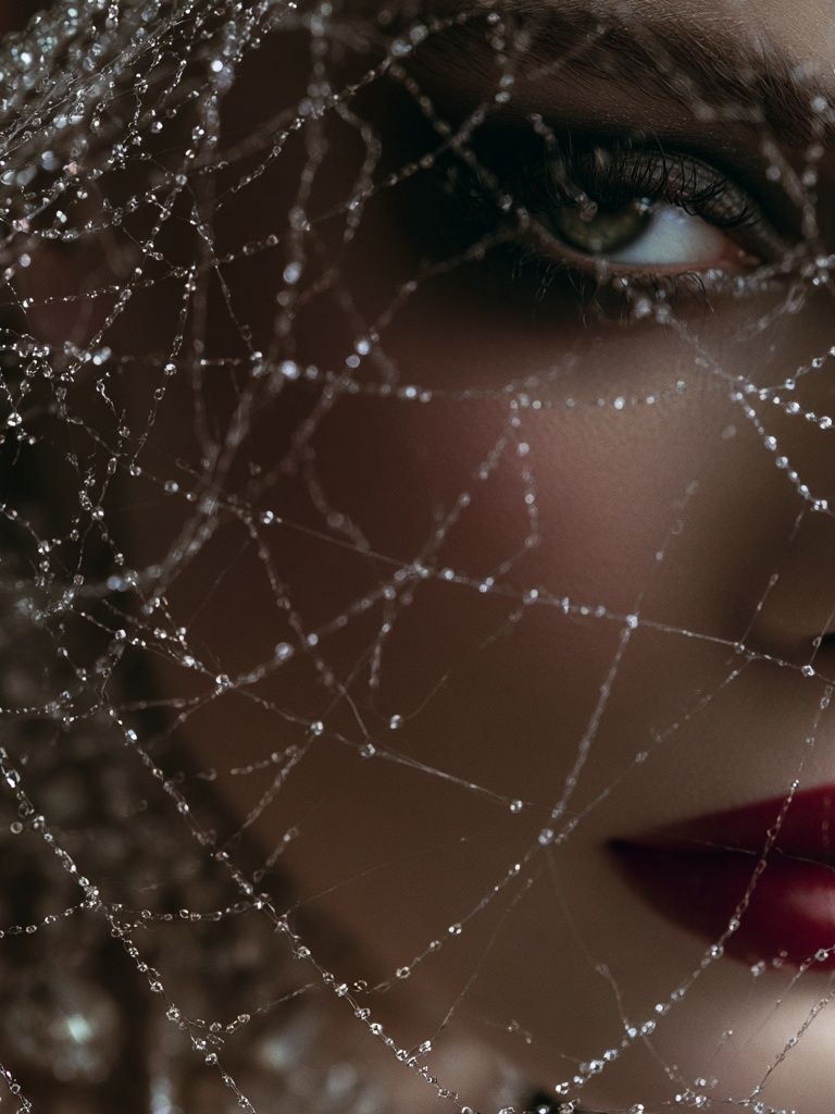 Veiled Portrait Photography Poster. poster — photography art