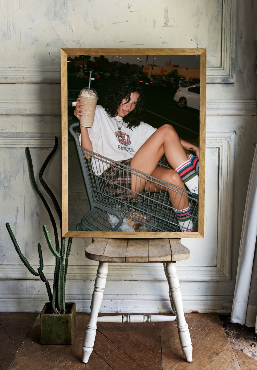 Shopping Cart Portrait Photography Poster. — room view 1