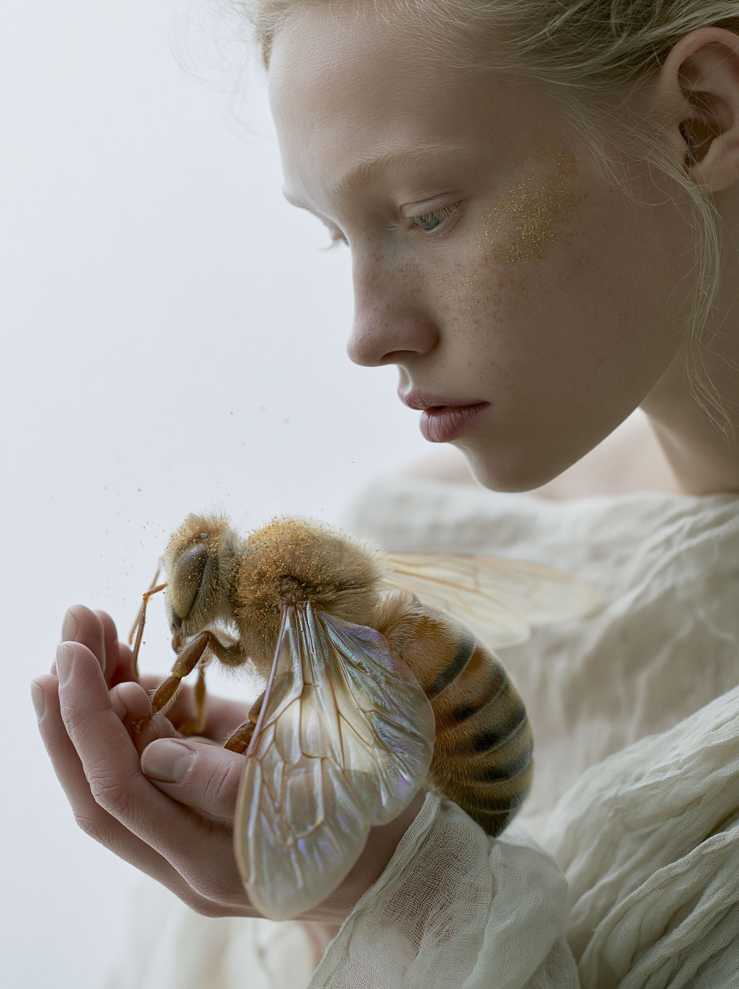 Dreamy Bee Portrait Photography Poster. poster detail