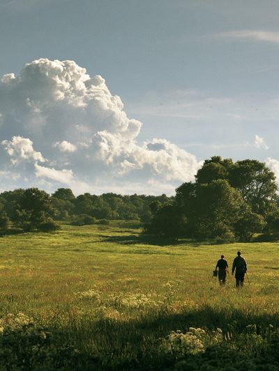 Meadow Walk Landscape Poster.