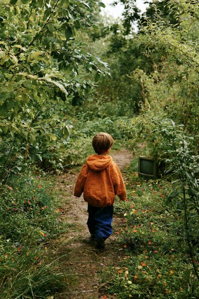 Child in Woodland Path Photography Poster. poster