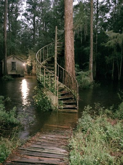 Swamp Cabin Stairway Photography Poster. poster print