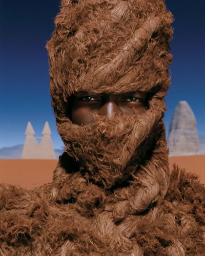 Desert Fur Portrait Poster. poster