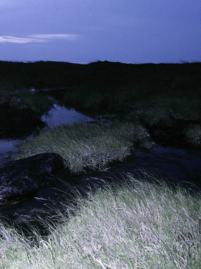 Twilight Marshland Photography Poster. poster detail