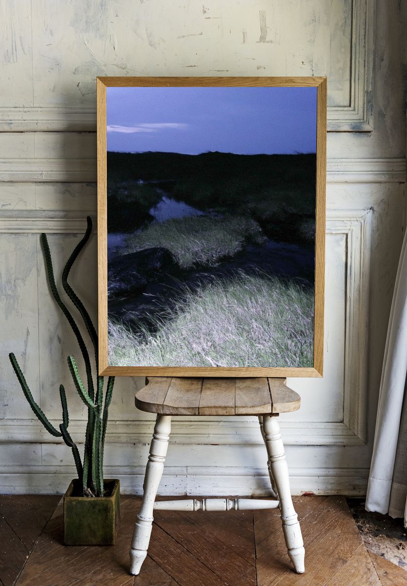Twilight Marshland Photography Poster. — room view 1