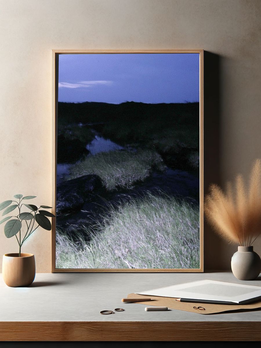 Twilight Marshland Photography Poster. — room view 2