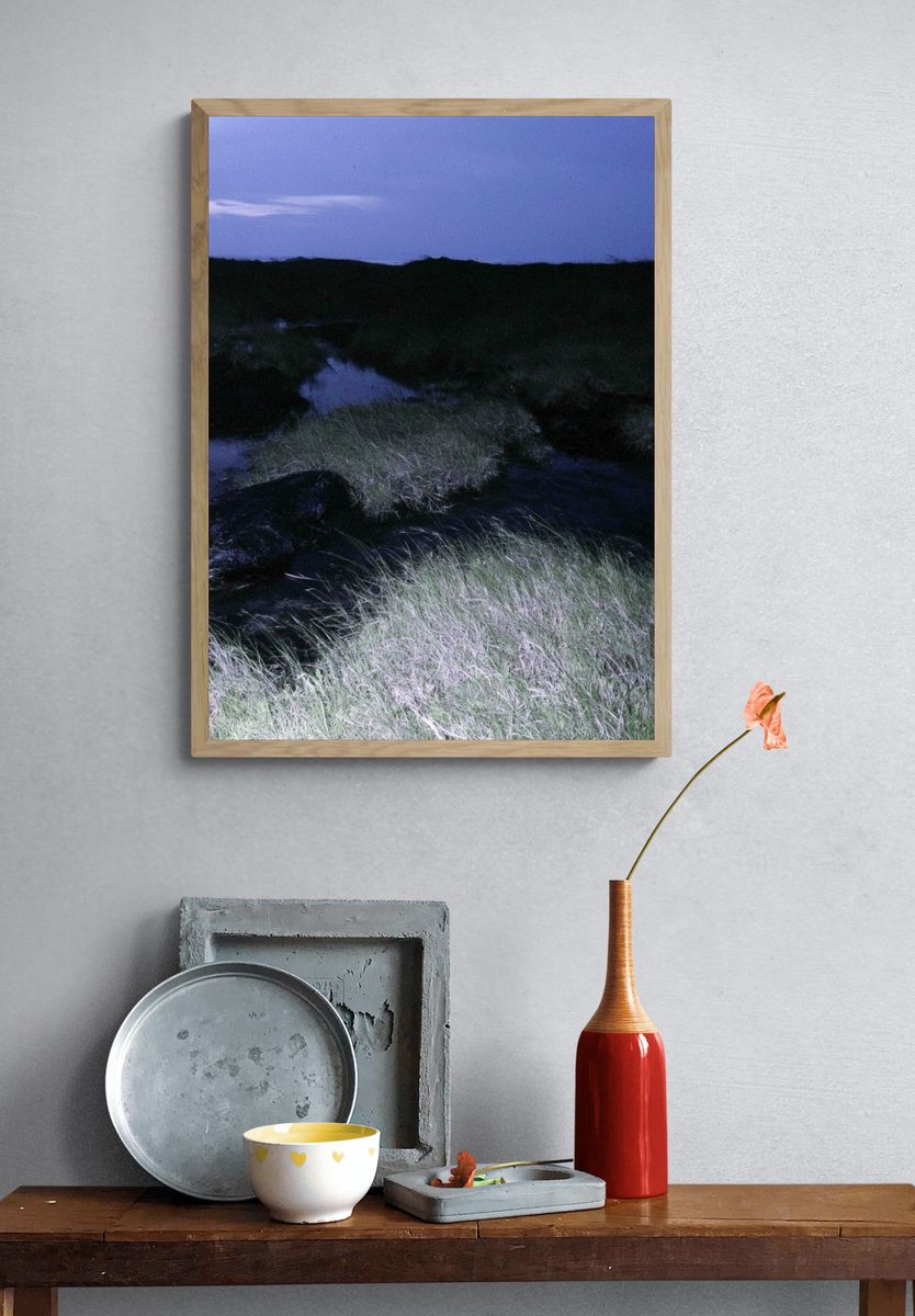 Twilight Marshland Photography Poster. — room view 3