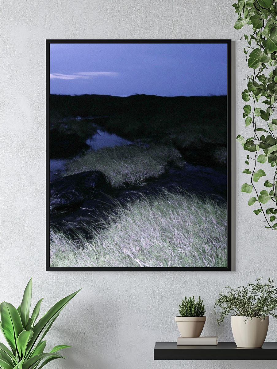 Twilight Marshland Photography Poster. — room view 4
