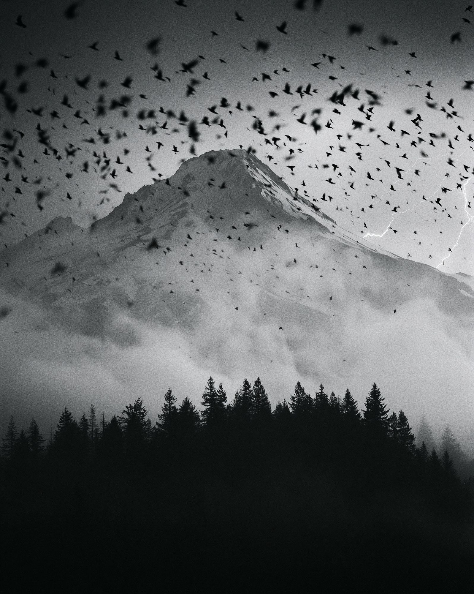 Stormy Mountain Birds Photography Poster. poster detail