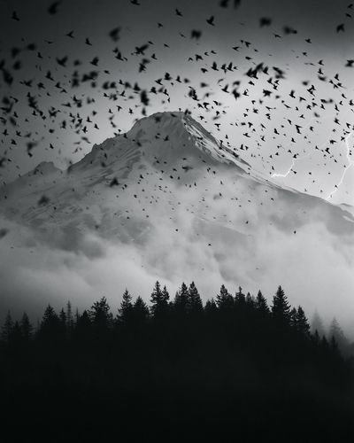 Stormy Mountain Birds Photography Poster.