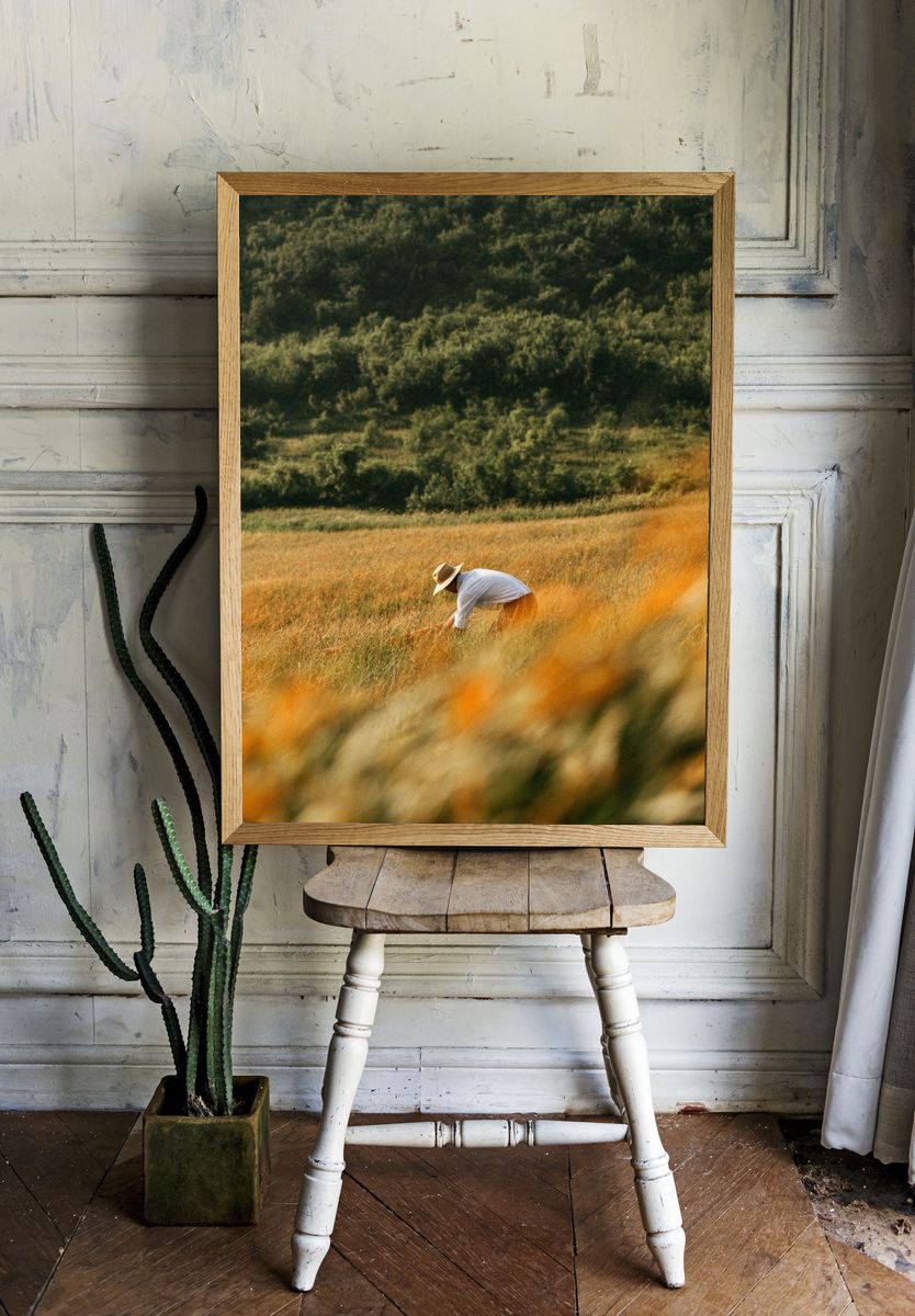 Harvest Field Worker Photography Poster. — room view 1