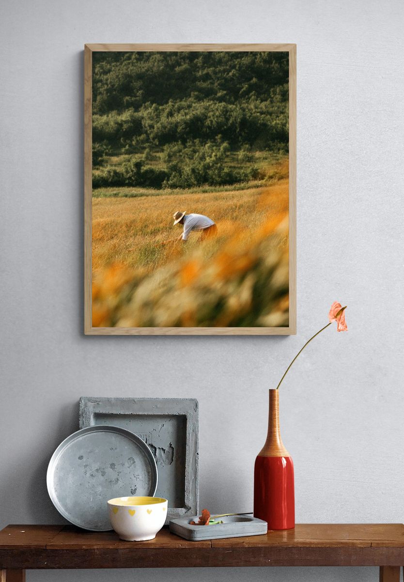 Harvest Field Worker Photography Poster. — room view 3