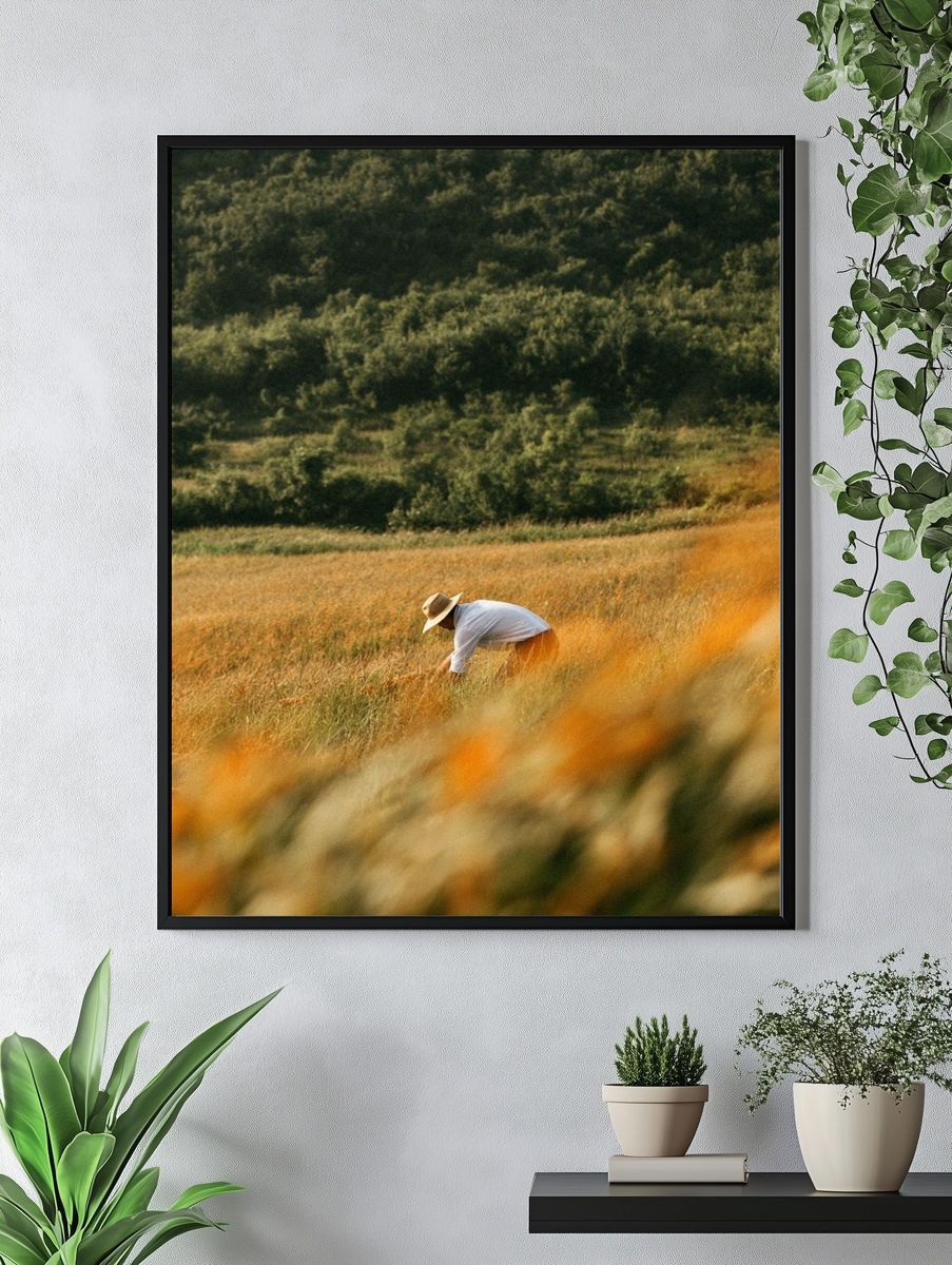 Harvest Field Worker Photography Poster. — room view 4