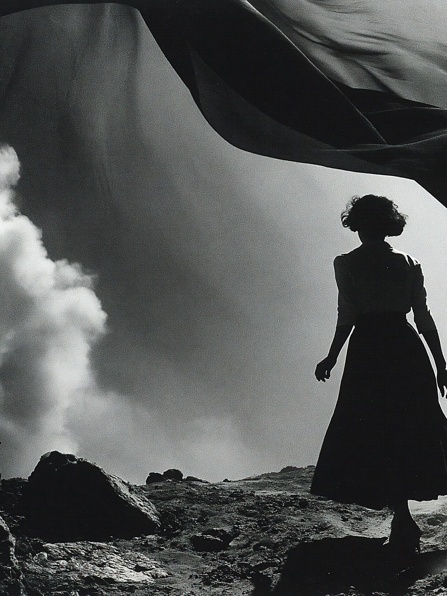 Silhouette in the Wind Photography Poster. poster — photography art