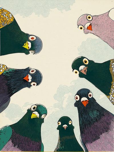 Playful Pigeons Illustration Poster. poster print
