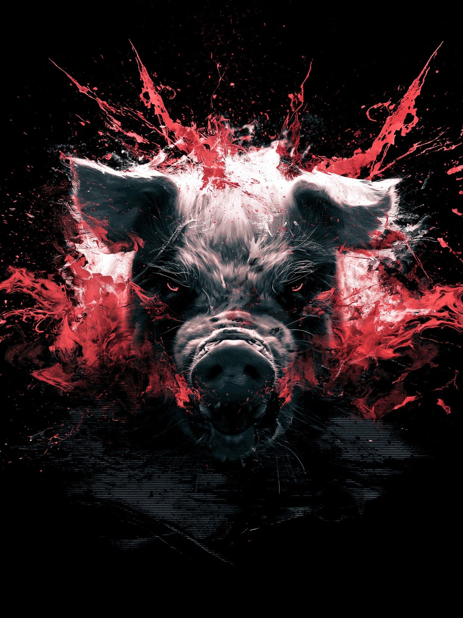 Explosive Pig Portrait Print. poster — animals art