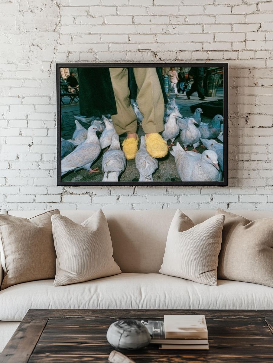 Pigeons and Yellow Slippers Photography Poster. room preview