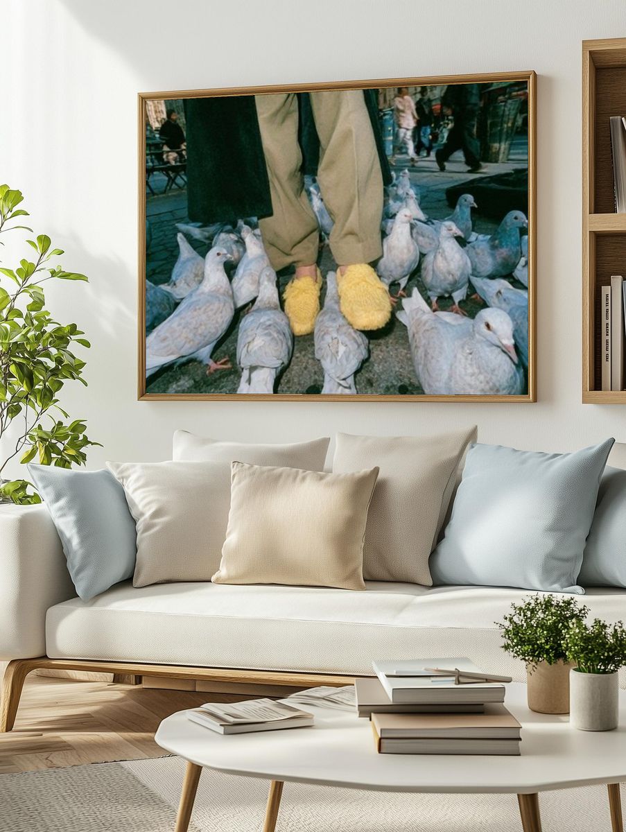 Pigeons and Yellow Slippers Photography Poster. — room view 2