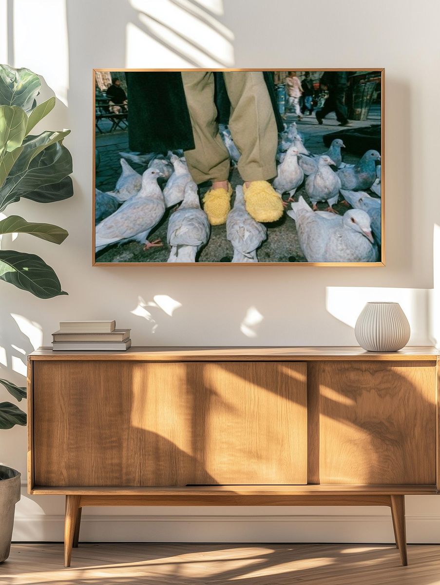 Pigeons and Yellow Slippers Photography Poster. — room view 3