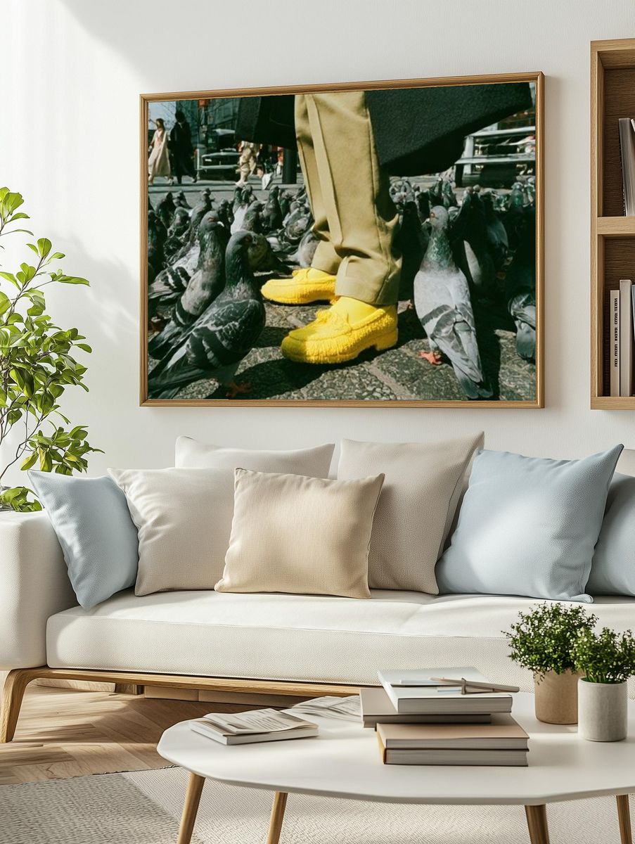 Pigeon Street Scene Photography Poster. — room view 2