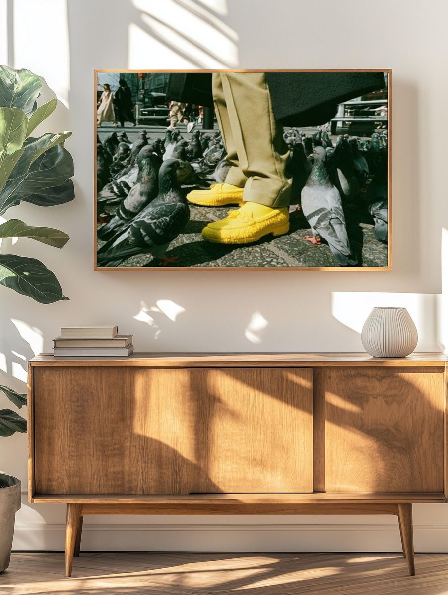 Pigeon Street Scene Photography Poster. — room view 3
