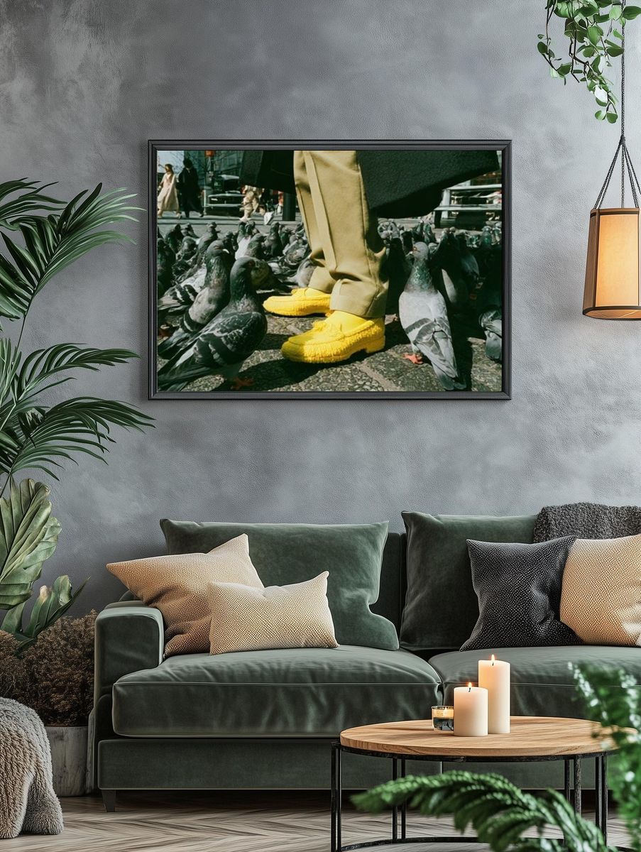 Pigeon Street Scene Photography Poster. — room view 4