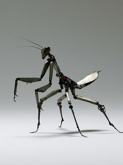 Mechanical Praying Mantis Illustration Poster.