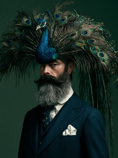 Peacock Portrait Photography Poster. poster