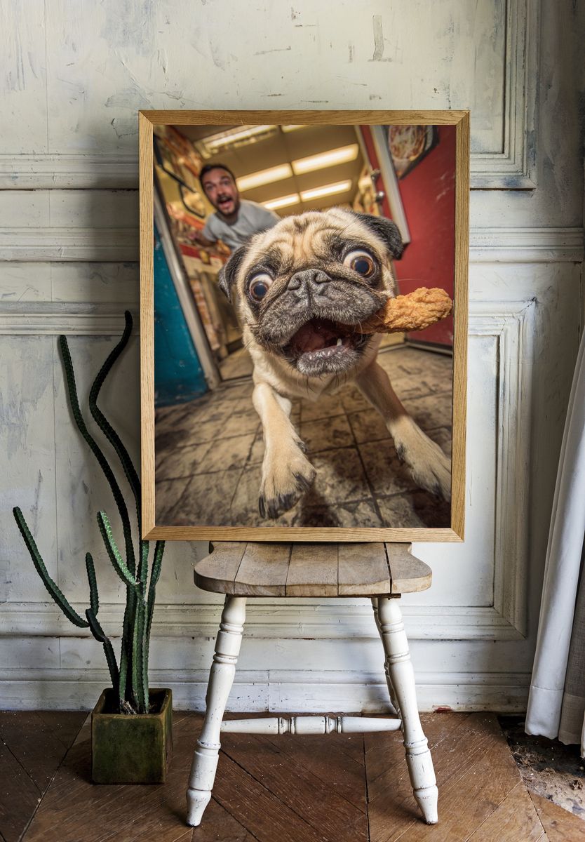 Excited Pug with Chicken — Funny Print room preview