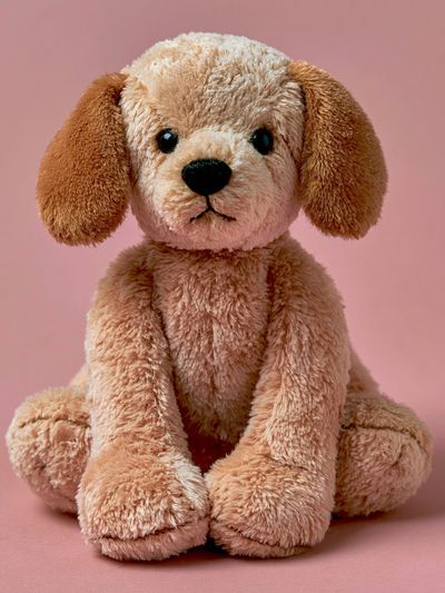 Plush Puppy Portrait Poster. poster