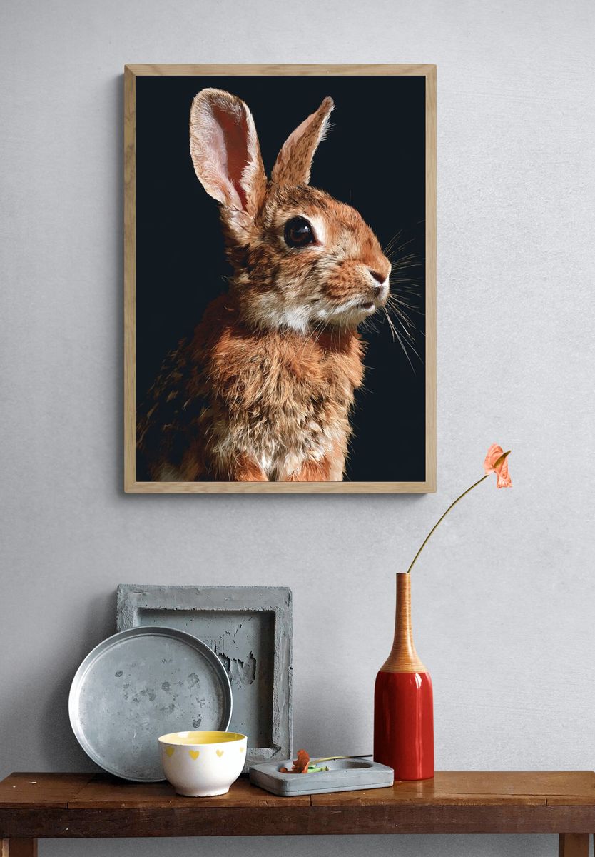 Rabbit Portrait Photography Poster. — room view 3