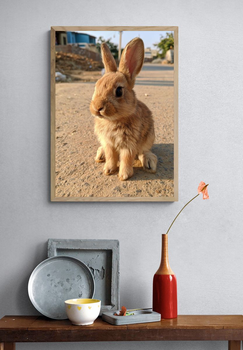 Baby Rabbit Photography Poster. — room view 3