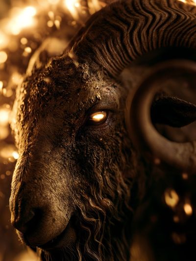 Golden Ram Portrait Poster. poster