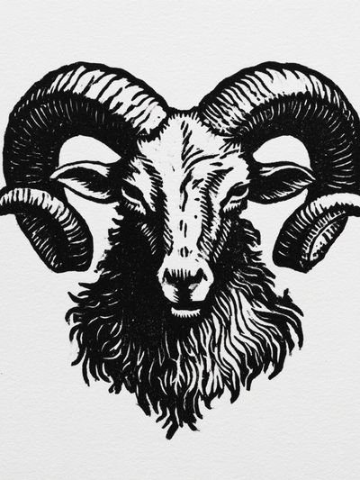 Ram Head Ink Illustration Poster.