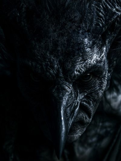 Dark Raven Portrait Poster. poster