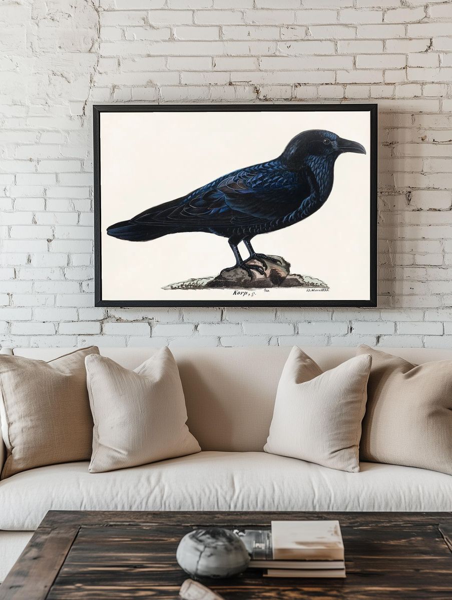 Raven Illustration Poster. room preview