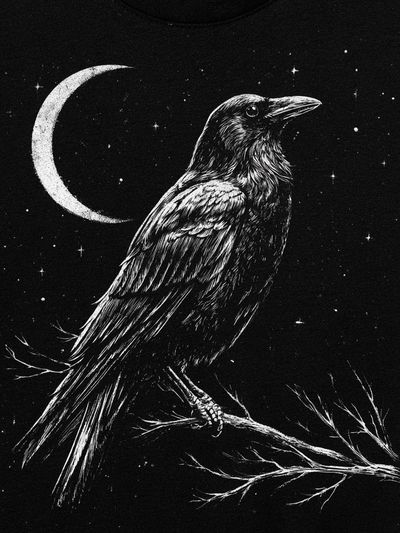 Raven Moonlit Night Print. poster