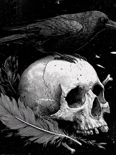 Raven and Skull — Gothic Art Print. poster print