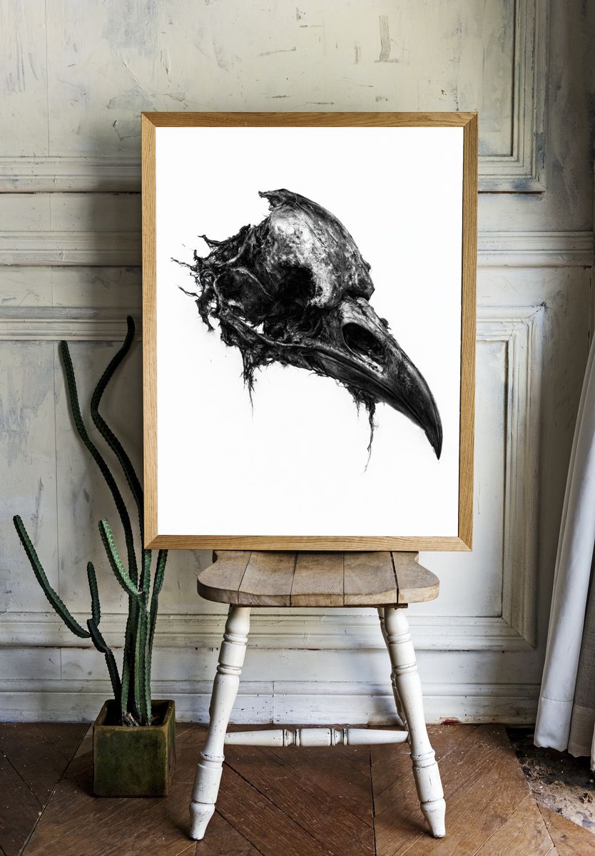 Raven Skull Black-White Print. room preview
