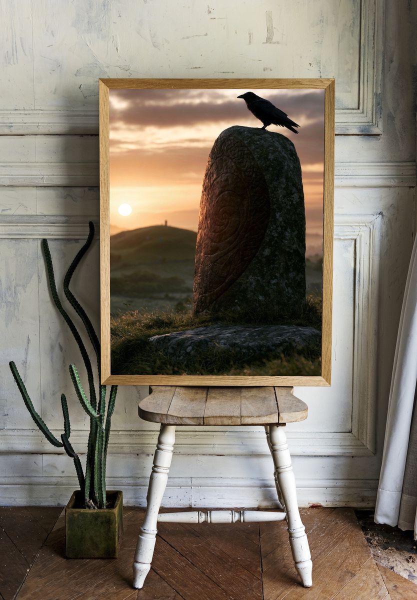Raven at Sunset Photography Print. — room view 1