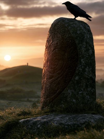 Raven at Sunset Photography Print. poster