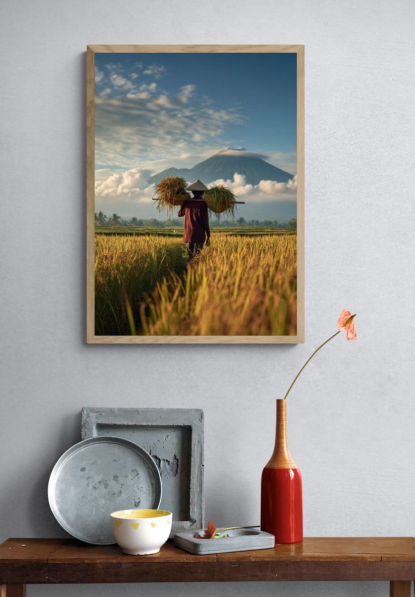 Rice Farmer in the Fields — Photography Print. — room view 3